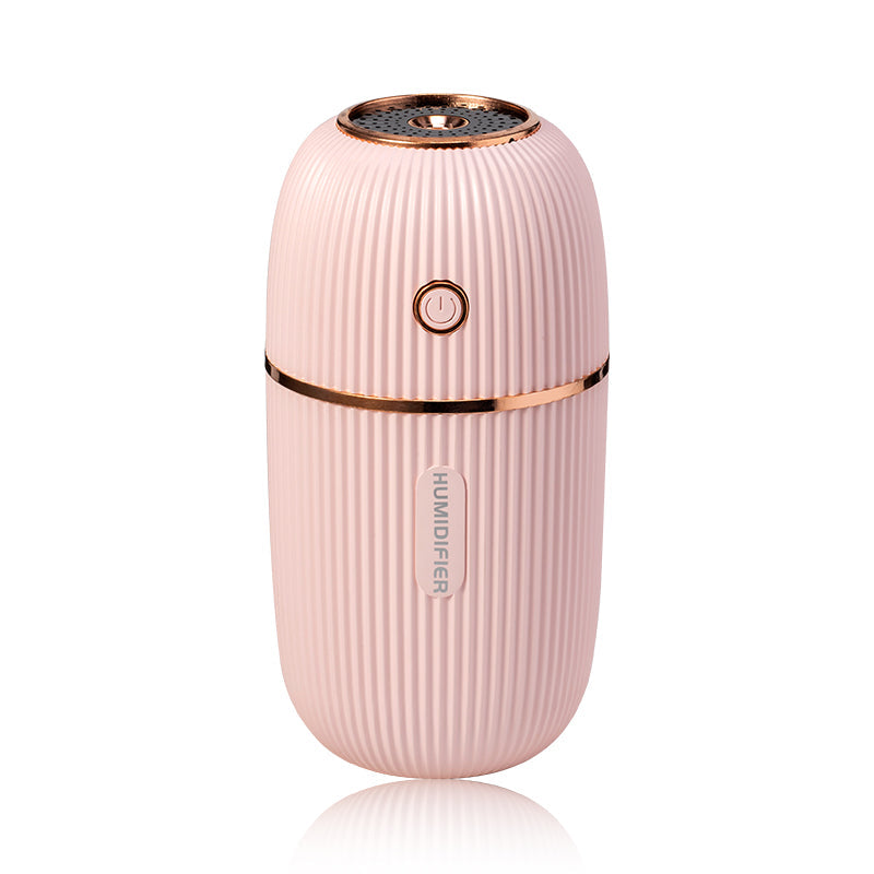 Transform Your Space with the Portable Humidifier
