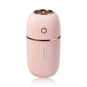 Transform Your Space with the Portable Humidifier