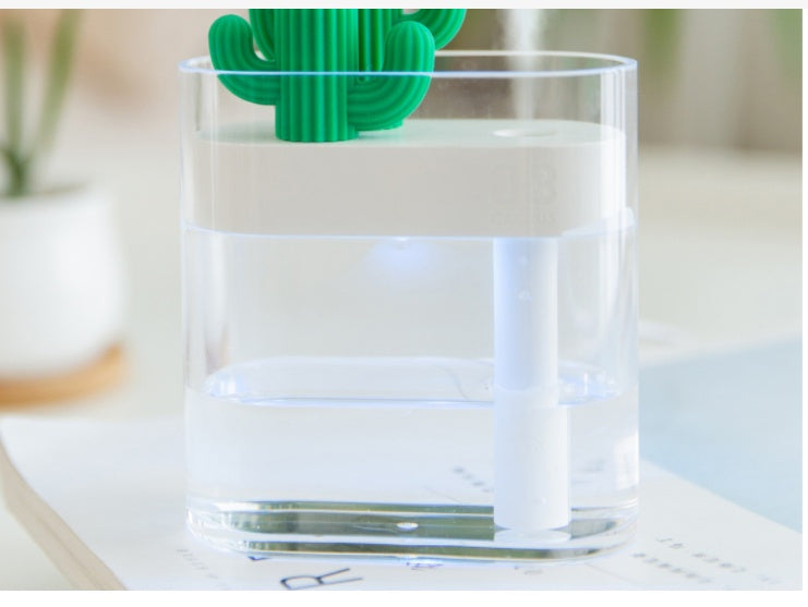 Transparent Cactus Portable Humidifier