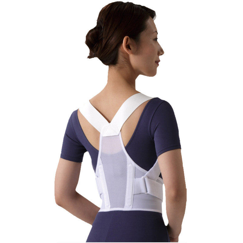 Adult anti-kyphosis correction belt