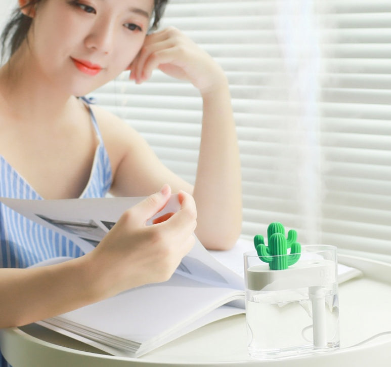 Transparent Cactus Portable Humidifier