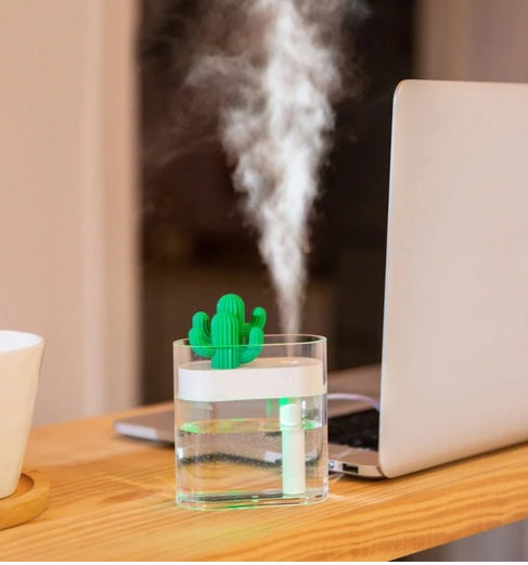 Transparent Cactus Portable Humidifier