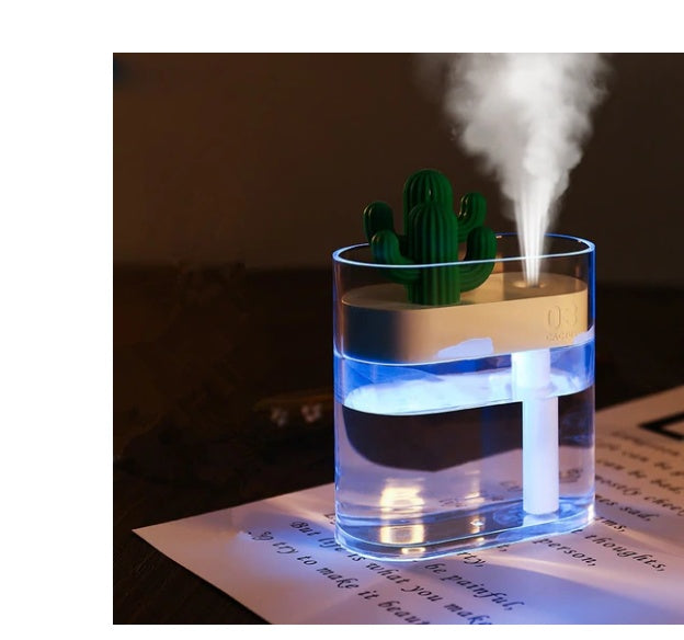 Transparent Cactus Portable Humidifier